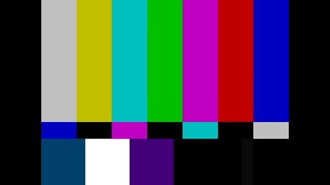 TEST VIDEO [C0DPdy98e4c].mp4
