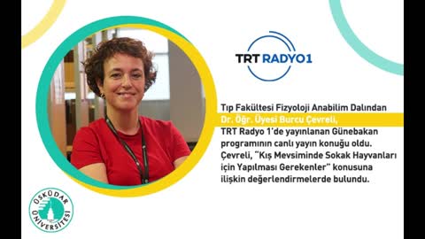 Kış Mevsiminde Sokak Hayvanları İçin Yapılması Gerekenler | TRT Radyo 1 | Dr. Öğr. Üyesi Burcu Çevreli 