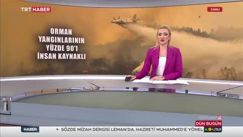 Orman Yangınlarına Sebep Olan Etkenler | TRT Haber | Dr. Öğr. Üyesi Rüştü Uçan